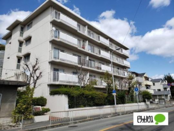 �@�����O��