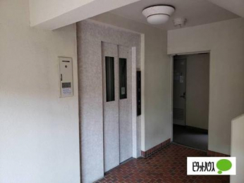 �@���̑����L����