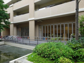 �@���̑����L����