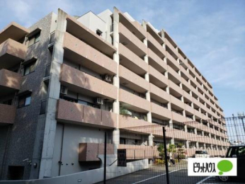 �@�����O��