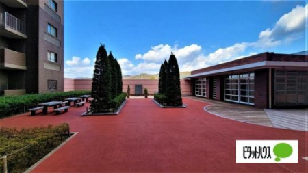 �@���̑����L����