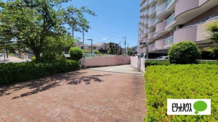 �@���̑����L����