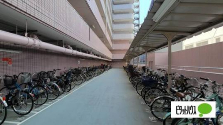 �@���̑����L����